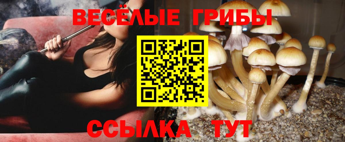 Галлюциногенные грибы Magic Shrooms Карабулак