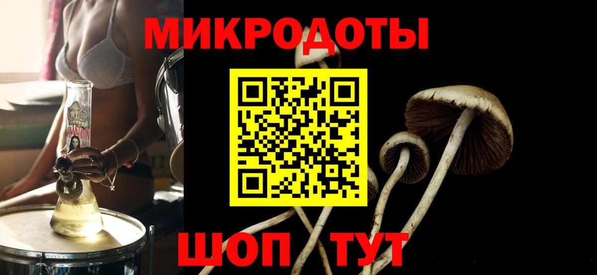 Карабулак  Псилоцибиновые грибы Psilocybe  Вход с VPN 